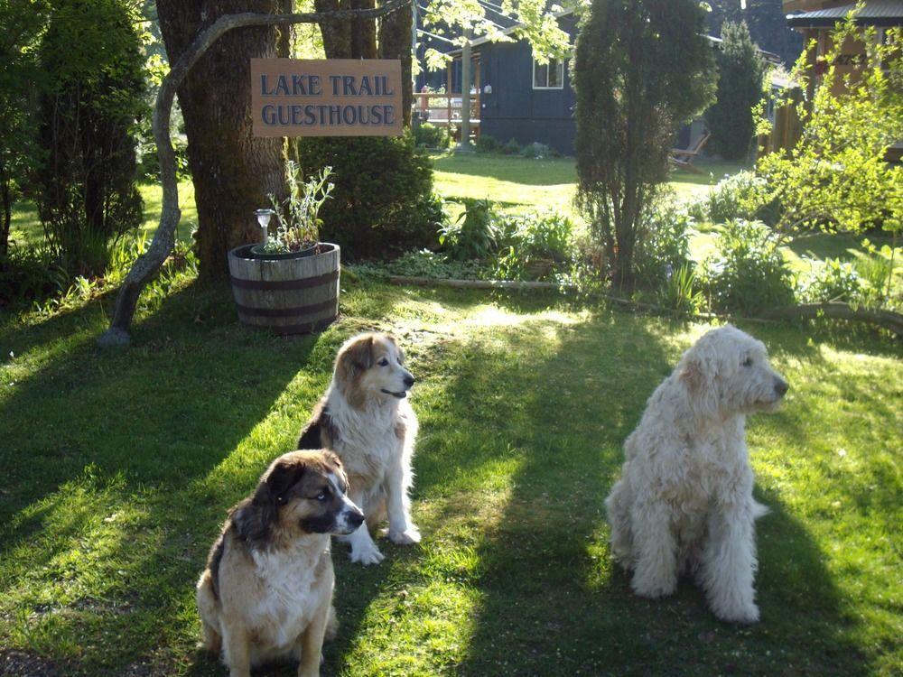 Lake Trail Guesthouse Cumberland Bagian luar foto